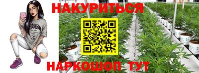 МДПВ Волжск