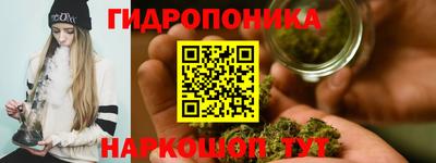 МДПВ Волжск