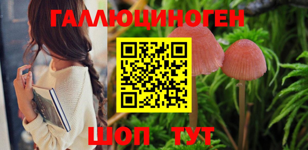 Псилоцибиновые грибы Psilocybe  Вход с VPN  Галлюциногенные грибы Magic Shrooms  Балаково 